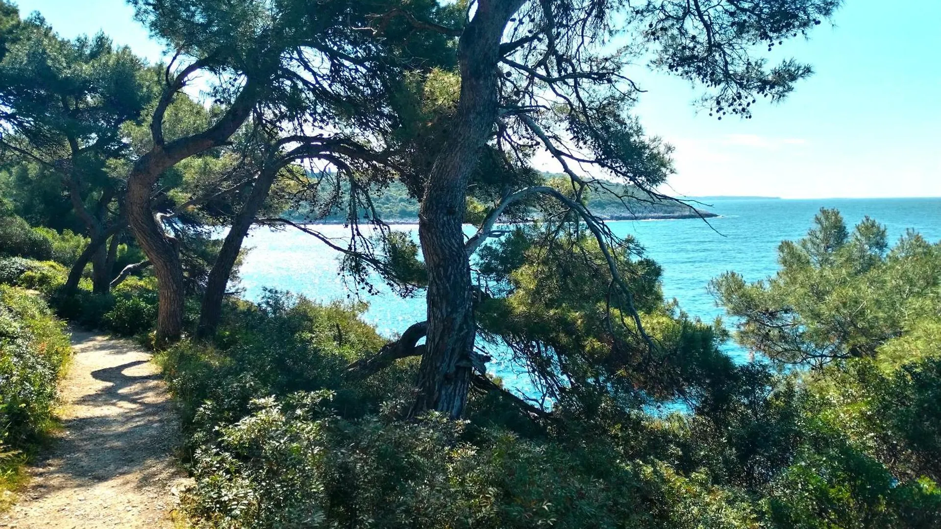 Apartment Emy Banjole Croatia